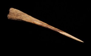 For Plains Indian women, including Pretty Shield, awls were important sewing tools. This bone awl dates to c. 1890. MHS Museum Collection, 1998.04.341