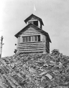 A female lookout stands outside the Morrell Mountain Lookout in Missoula National Forest, in August 1922. Although the Forest Service hired women to staff lookouts, they were not supposed to fight fires. Photograph by K. D. Swan, courtesy of the Forest History Society, Durham, N.C.