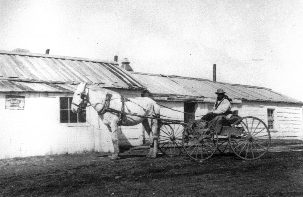 Mary Fields, driving a buggy. Born a slave in the 1830s, Mary Fields arrived in Montana in the Ursuline Sisters who came to establish an Indian boarding school and mission. Fields remains a legendary frontier character, celebrated for her tough persona and kind heart. 