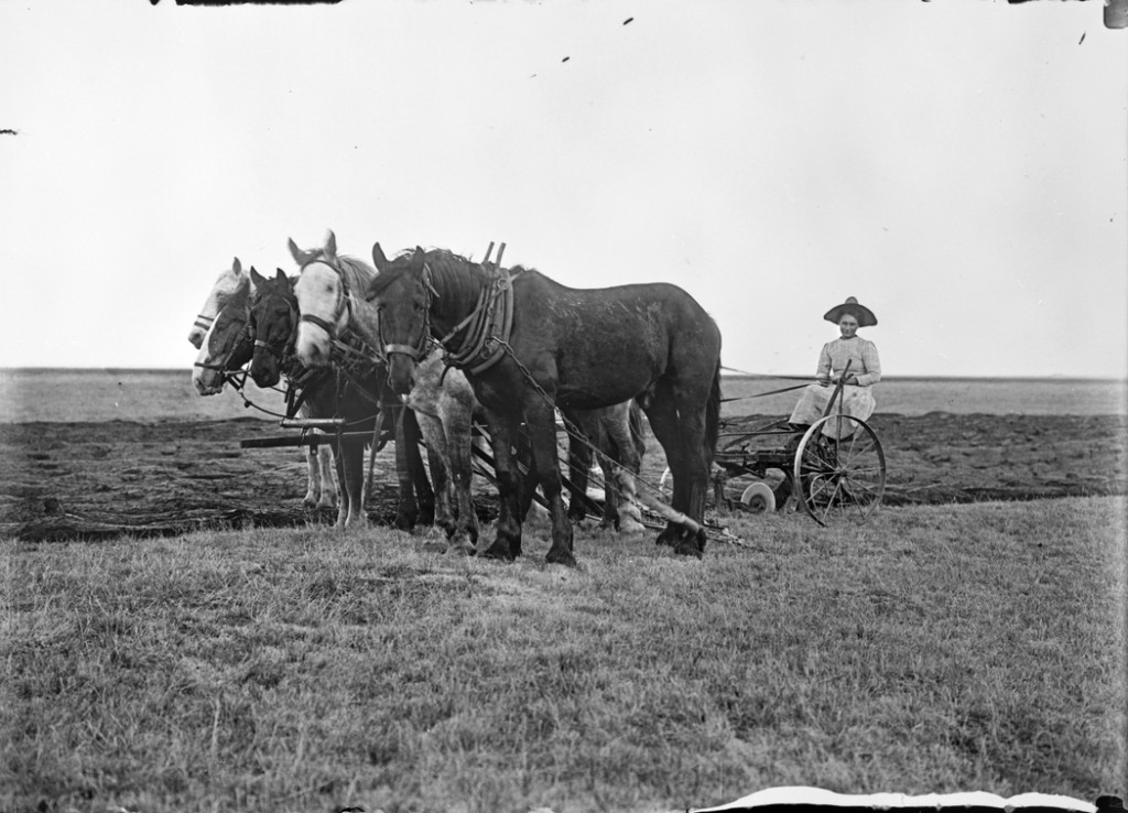 Rosie Roesler, sitting here on a sulky plow, received her homestead patent for 320 acres in Prairie County on 1915.