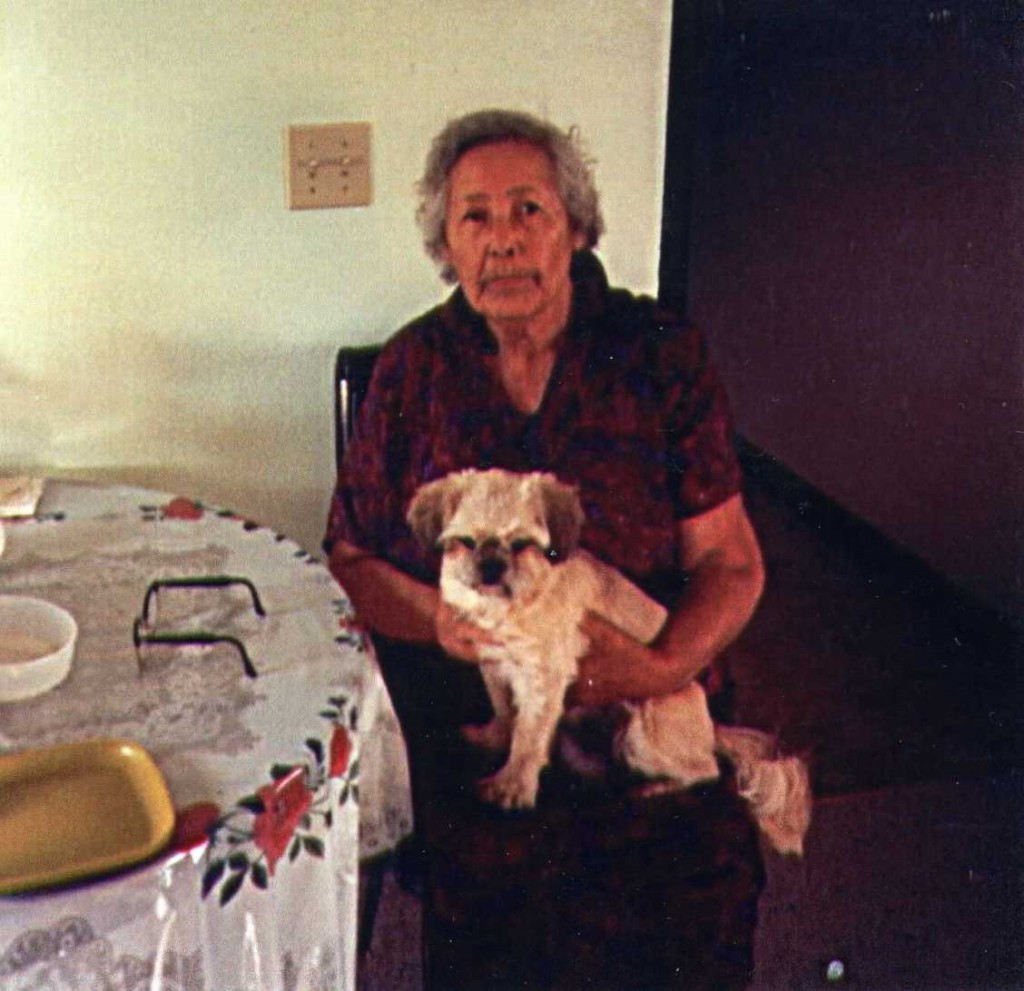 Born near Hays on the Fort Belknap Reservation in 1896, Theresa Chandler Walker Lamebull dedicated much of her later years to language preservation. She taught until shortly before her death in 2007.