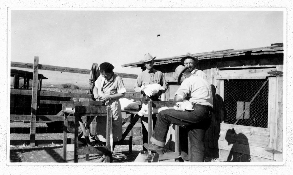 Harriette Cushman, left, with three men, testing poultry. A chicken coop is in the ba