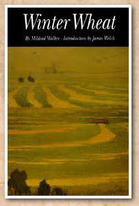 Cover of Winter Wheat